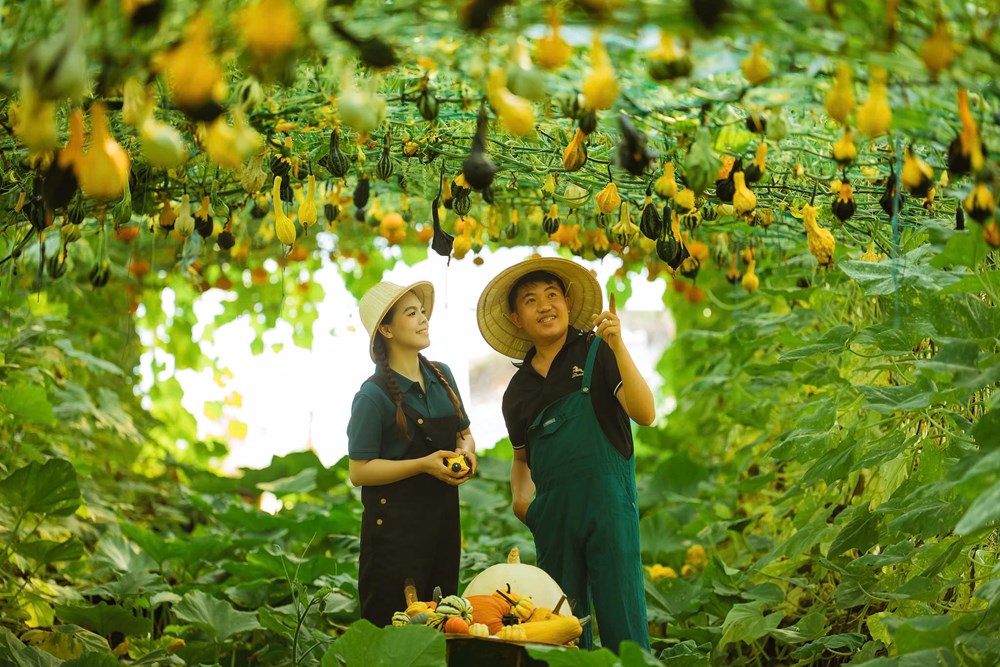Quảng Ngãi đón sóng du khách, doanh thu du lịch tăng mạnh - ảnh 4