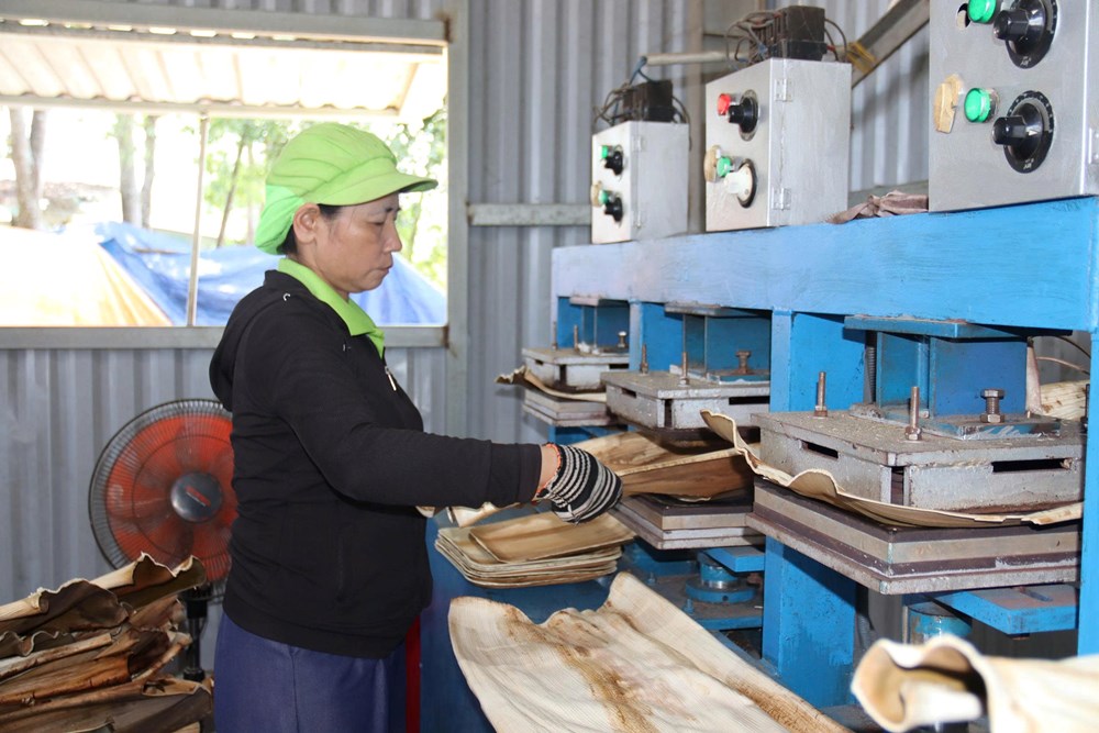 Từ mo cau đến triệu sản phẩm xanh mỗi năm - ảnh 4