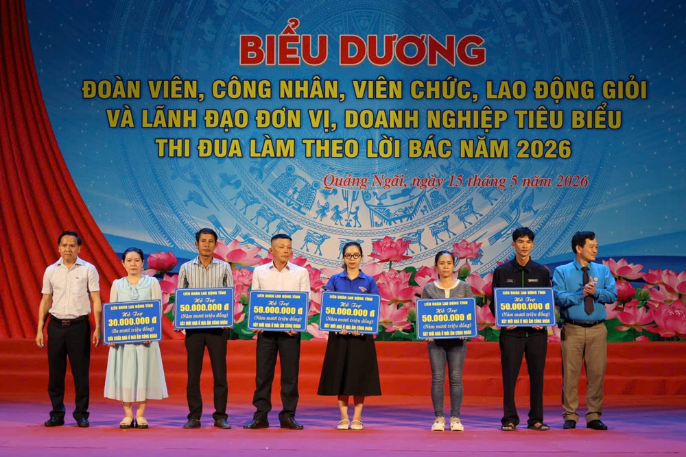 Quảng Ngãi biểu dương những điển hình lao động giỏi làm theo lời Bác - ảnh 7