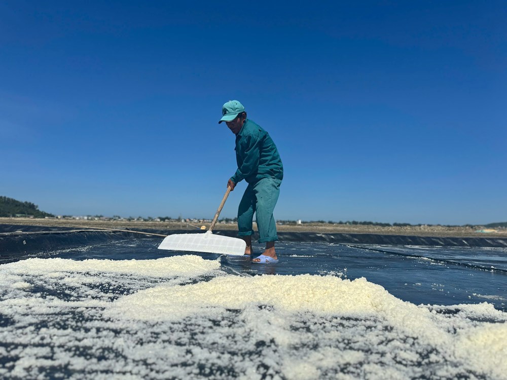 Quảng Ngãi đẩy mạnh quảng bá muối Sa Huỳnh tại các sự kiện du lịch - ảnh 1