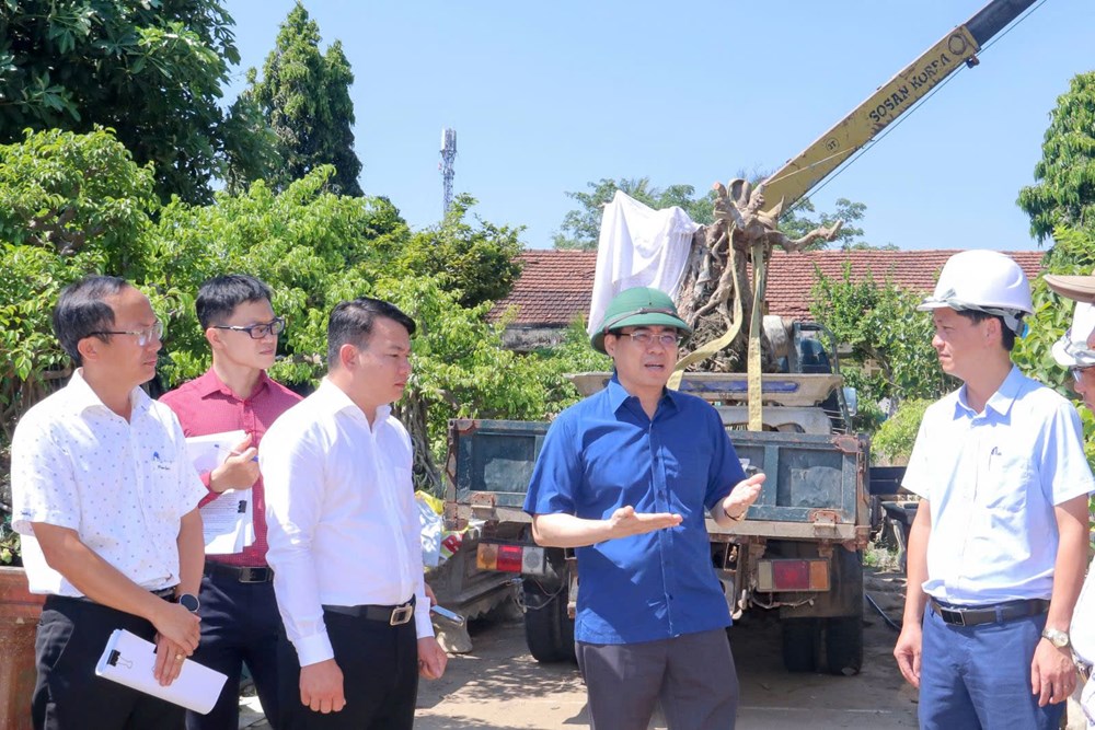 Quảng Ngãi kiểm tra, đẩy nhanh xử lý trụ sở công dôi dư sau sáp nhập - ảnh 2