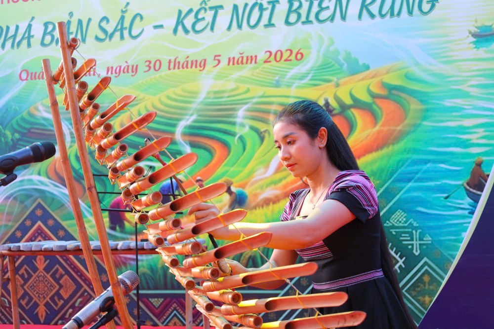 “Khám phá bản sắc - Kết nối biển rừng” qua sắc màu di sản Quảng Ngãi - ảnh 9