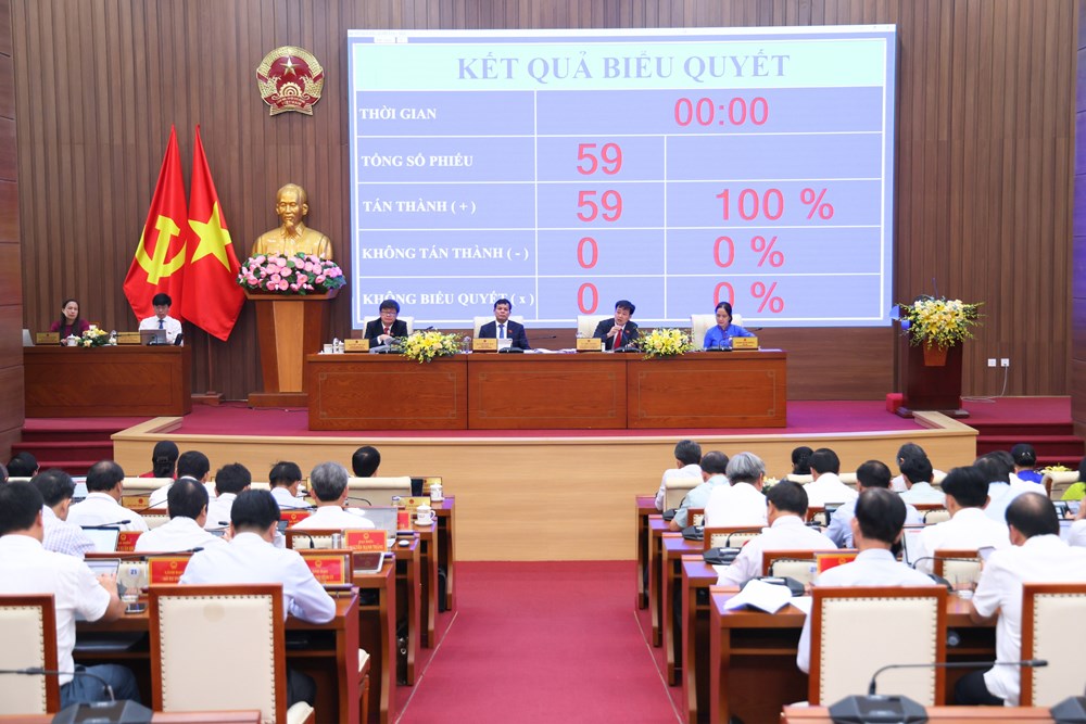 Quảng Ngãi: Thông qua 53 nghị quyết sau sắp xếp đơn vị hành chính - ảnh 3