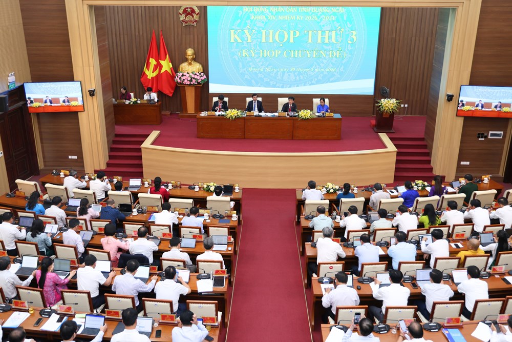 Quảng Ngãi: Thông qua 53 nghị quyết sau sắp xếp đơn vị hành chính - ảnh 5