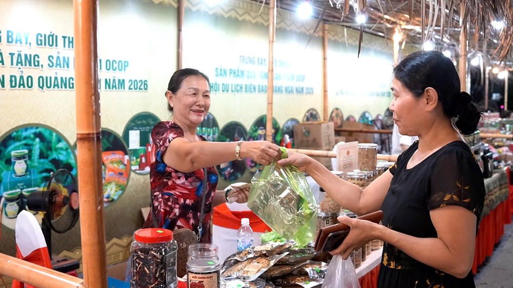 Sức hút từ di sản văn hóa Quảng Ngãi - ảnh 6