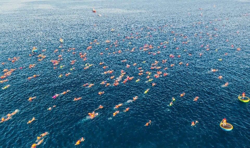 Gần 800 kình ngư chinh phục đường bơi vượt biển Lý Sơn Cross Island 2026 - ảnh 2