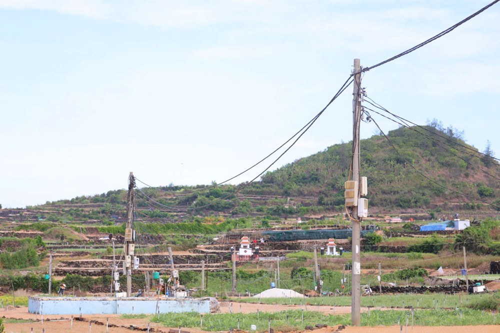 Bảo đảm điện ổn định, tạo động lực cho du lịch và sản xuất ở Lý Sơn - ảnh 6