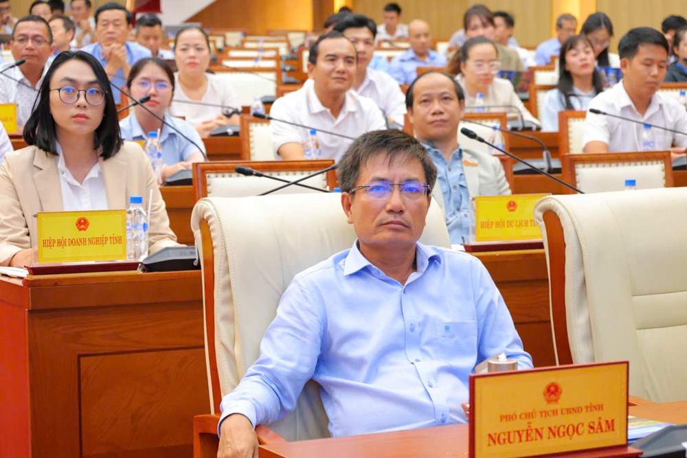 Quảng Ngãi đối thoại, gỡ khó về đất đai cho doanh nghiệp và nhà đầu tư - ảnh 3