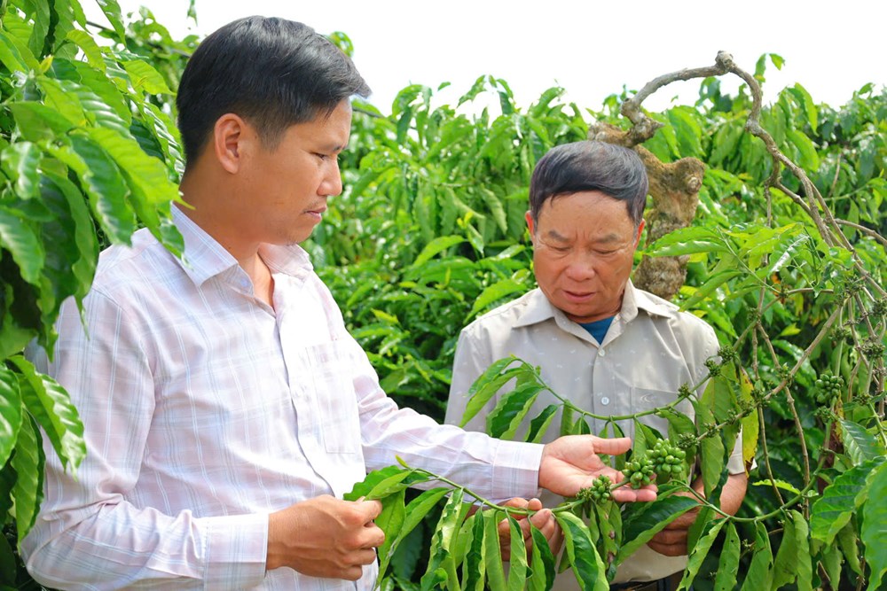 Từ ý chí người lính đến mô hình nông nghiệp doanh thu tiền tỉ - ảnh 1