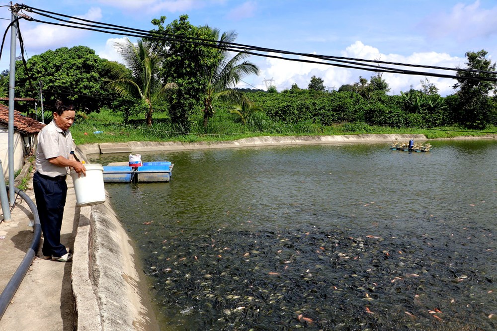 Từ ý chí người lính đến mô hình nông nghiệp doanh thu tiền tỉ - ảnh 4