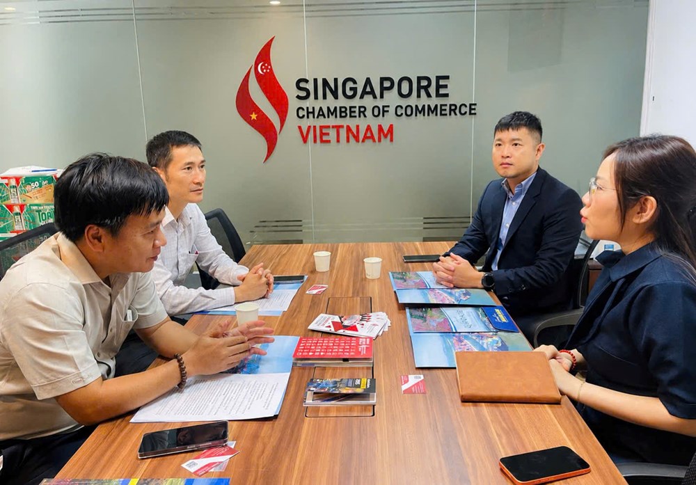 Quảng Ngãi quảng bá tiềm năng, tăng cường kết nối doanh nghiệp Singapore - ảnh 1