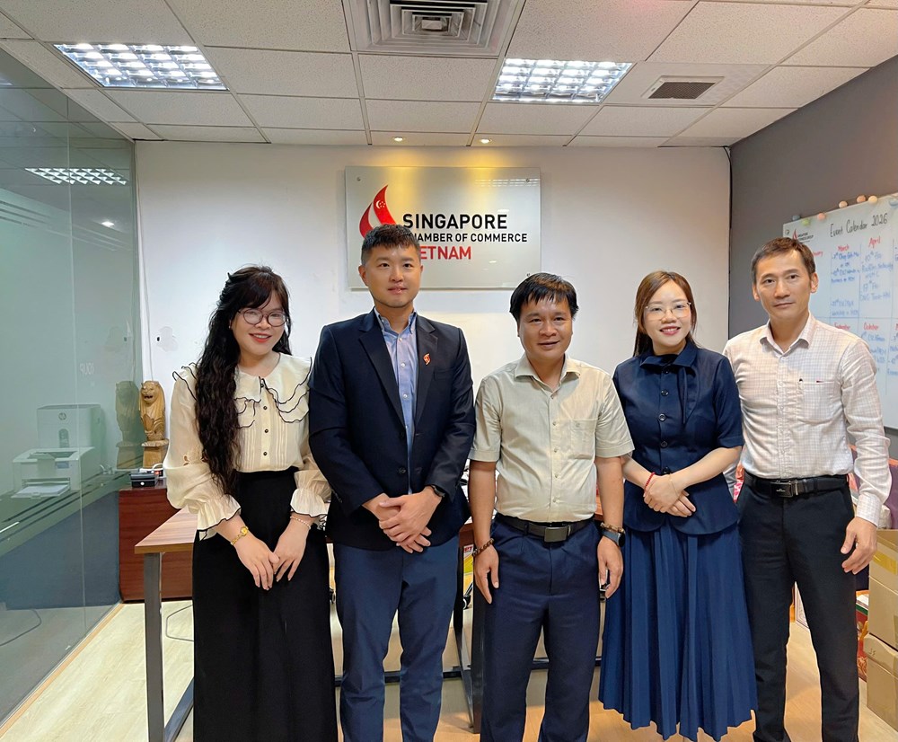 Quảng Ngãi quảng bá tiềm năng, tăng cường kết nối doanh nghiệp Singapore - ảnh 3