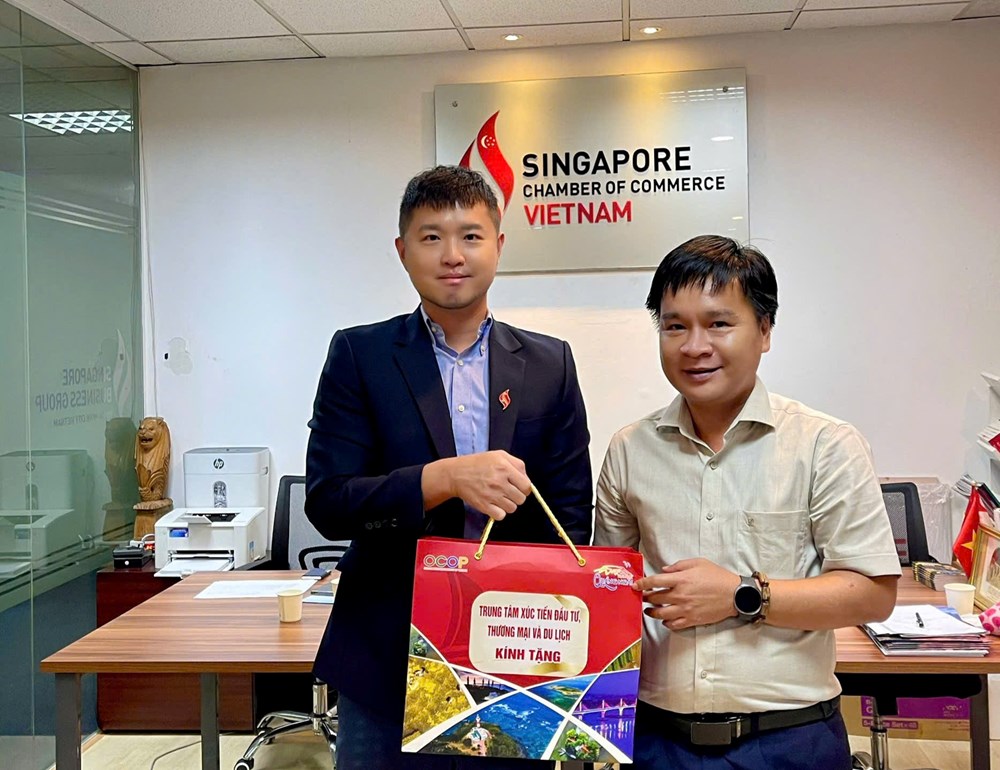 Quảng Ngãi quảng bá tiềm năng, tăng cường kết nối doanh nghiệp Singapore - ảnh 2