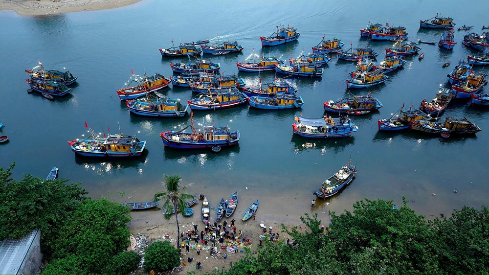 Đến Quảng Ngãi, ghé chợ nổi lúc tinh mơ - ảnh 4