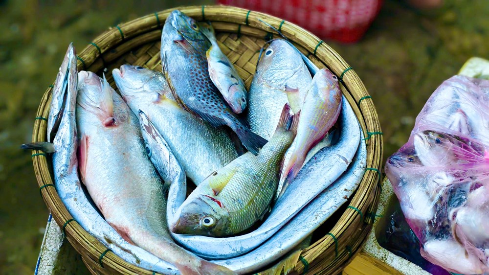 Đến Quảng Ngãi, ghé chợ nổi lúc tinh mơ - ảnh 3