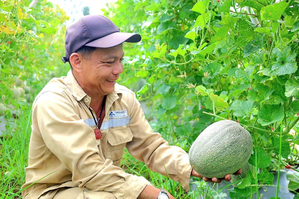 Xã Đông Sơn gặt “trái ngọt” từ chuyển đổi cây trồng - ảnh 2