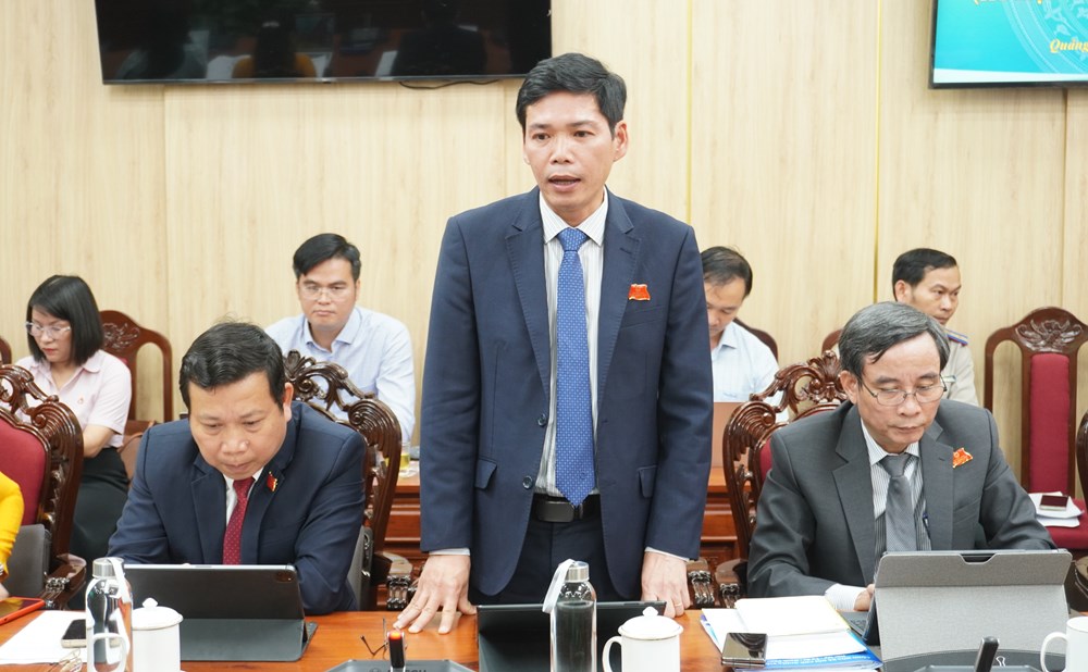 Đại biểu đề xuất nhiều giải pháp phát huy tiềm năng sau mở rộng không gian phát triển - ảnh 2
