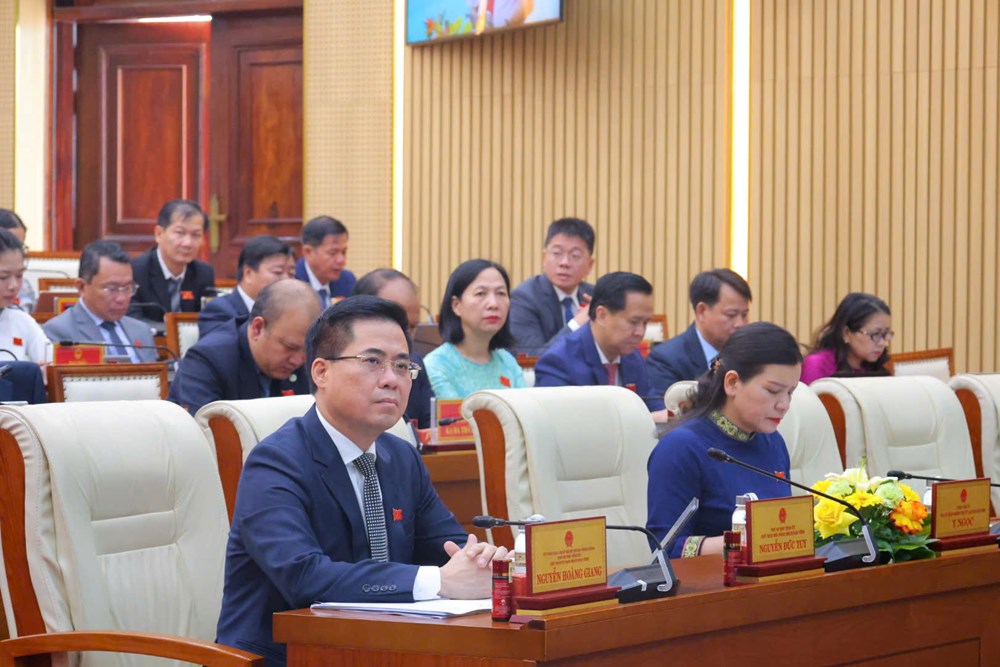 HĐND tỉnh Quảng Ngãi thông qua nghị quyết phát triển kinh tế - xã hội, chú trọng đầu tư văn hóa gắn với du lịch - ảnh 3