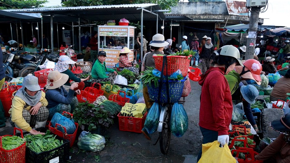 Châu Sa: Hơi thở chợ quê trong phiên rau rạng sáng - ảnh 4