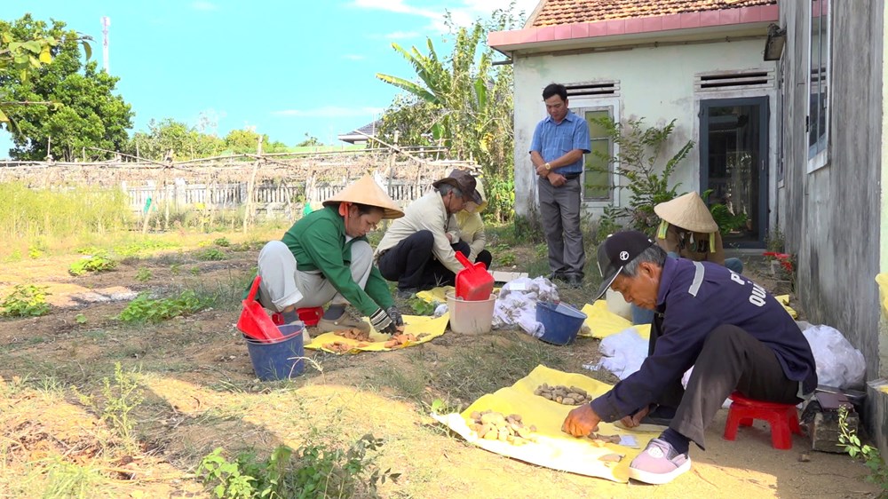 Cộng đồng chung tay giữ “báu vật” khảo cổ giữa lòng Quảng Ngãi - ảnh 4