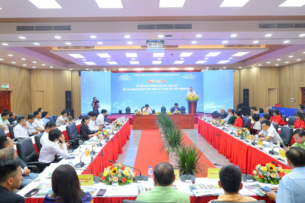 Quảng Ngãi thúc đẩy kết nối giao thương, mở rộng thị trường xuất khẩu - ảnh 3