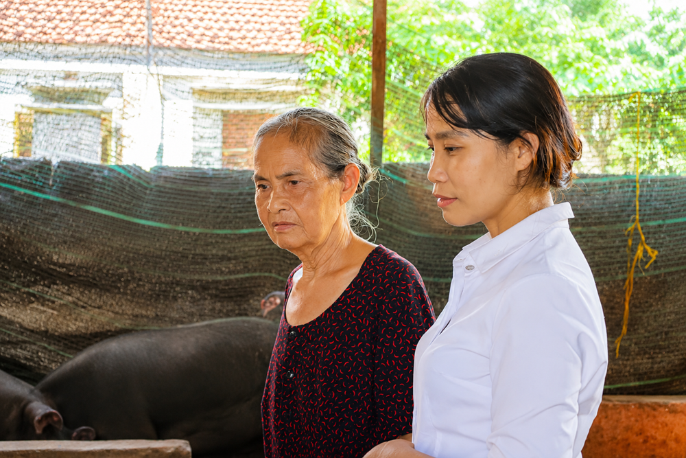 Heo giống xoay vòng - trao sinh kế, lan tỏa yêu thương - ảnh 4