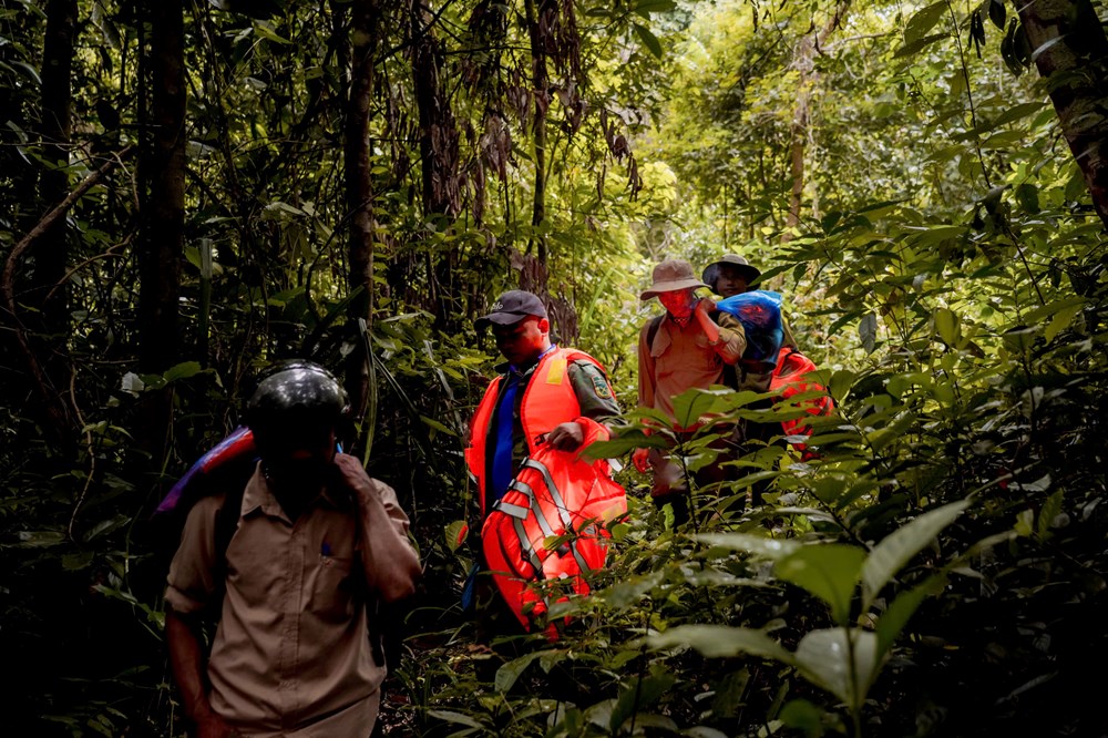 Đánh thức cung đường trekking xanh giữa đại ngàn xã Đặng Thùy Trâm - ảnh 2