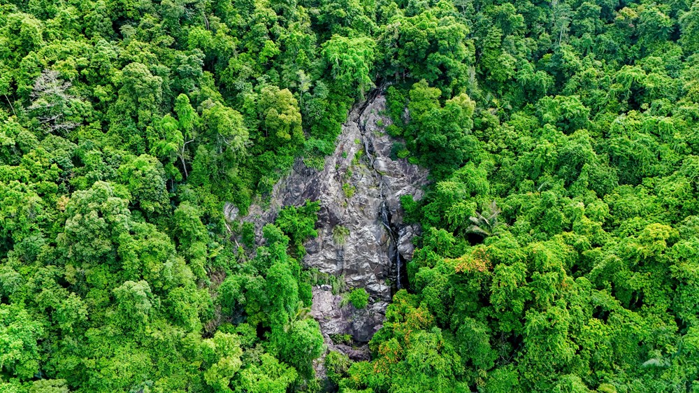 Đánh thức cung đường trekking xanh giữa đại ngàn xã Đặng Thùy Trâm - ảnh 8