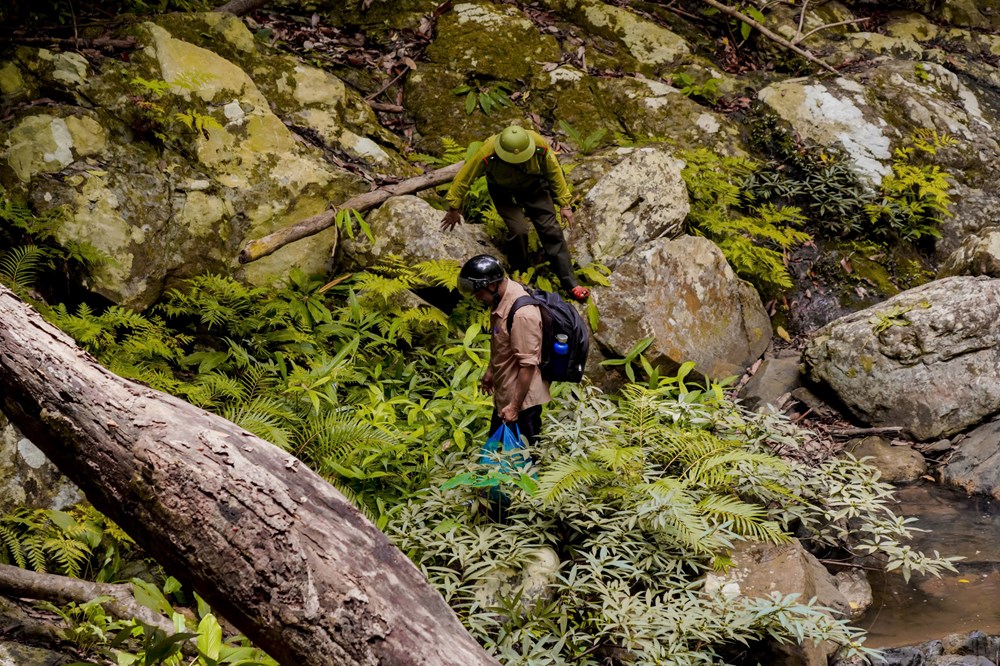 Đánh thức cung đường trekking xanh giữa đại ngàn xã Đặng Thùy Trâm - ảnh 6