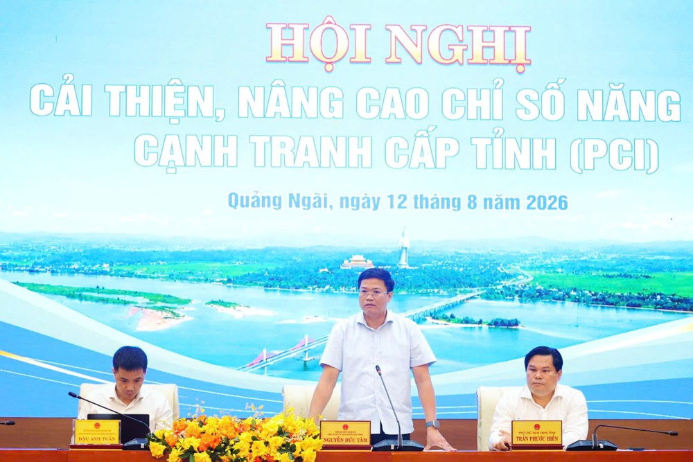 Quảng Ngãi nhìn thẳng điểm nghẽn PCI, quyết liệt cải thiện môi trường kinh doanh - ảnh 7