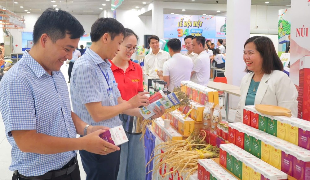 Quảng Ngãi tổ chức chuỗi sự kiện lớn, mở rộng cơ hội hợp tác, đầu tư và phát triển du lịch - ảnh 2