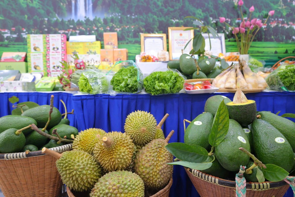 Sắc màu đặc sản hội tụ, kết nối OCOP liên vùng - ảnh 2