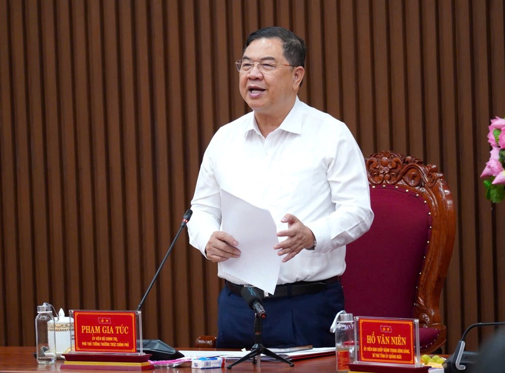Quảng Ngãi cần phát huy lợi thế biển, công nghiệp, logistics và du lịch  - ảnh 2