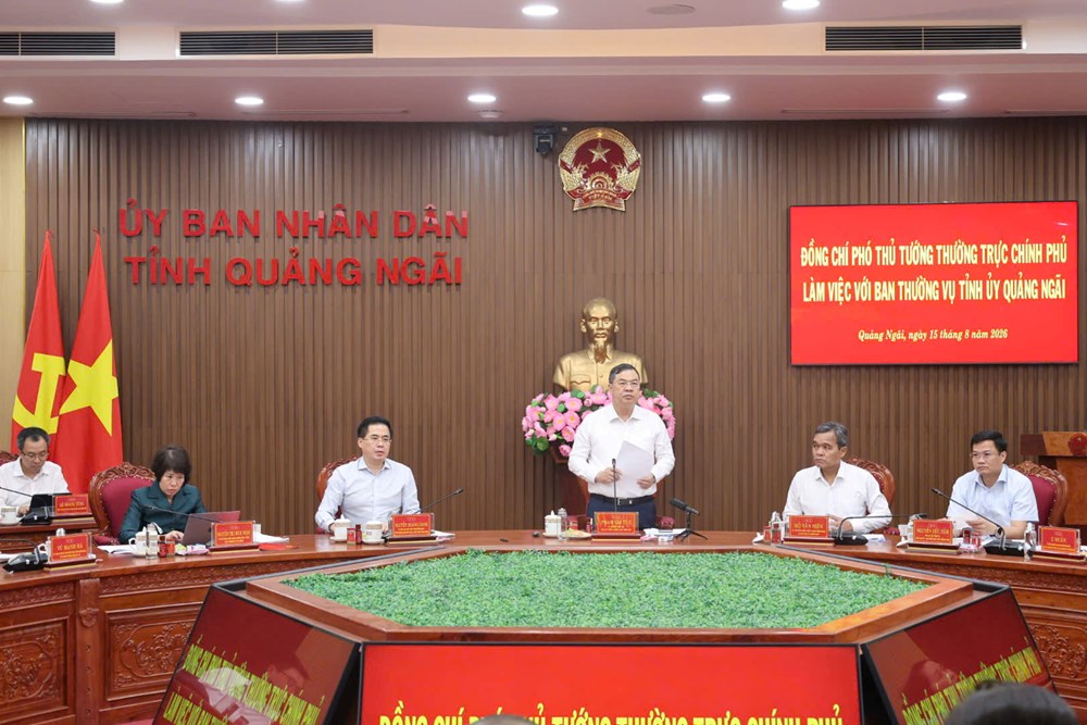 Quảng Ngãi cần phát huy lợi thế biển, công nghiệp, logistics và du lịch  - ảnh 1