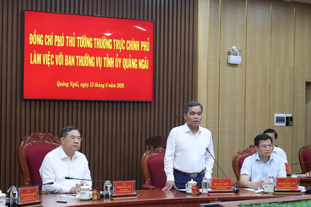 Quảng Ngãi cần phát huy lợi thế biển, công nghiệp, logistics và du lịch  - ảnh 3