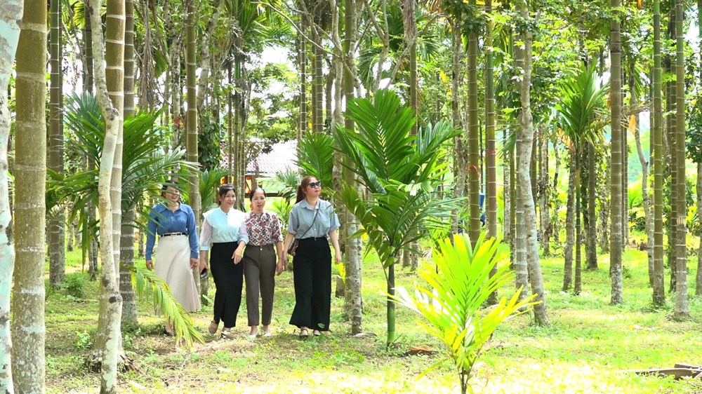 Nông trại Phạm Văn Đồng – Dấu ấn lịch sử, sức sống mới hôm nay - ảnh 4