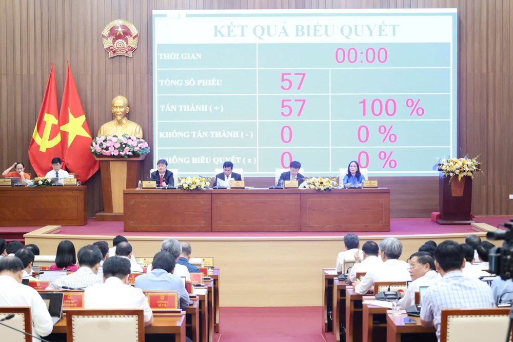 HĐND tỉnh Quảng Ngãi thông qua nguồn lực hơn 304 tỉ đồng phát triển văn hoá - ảnh 3
