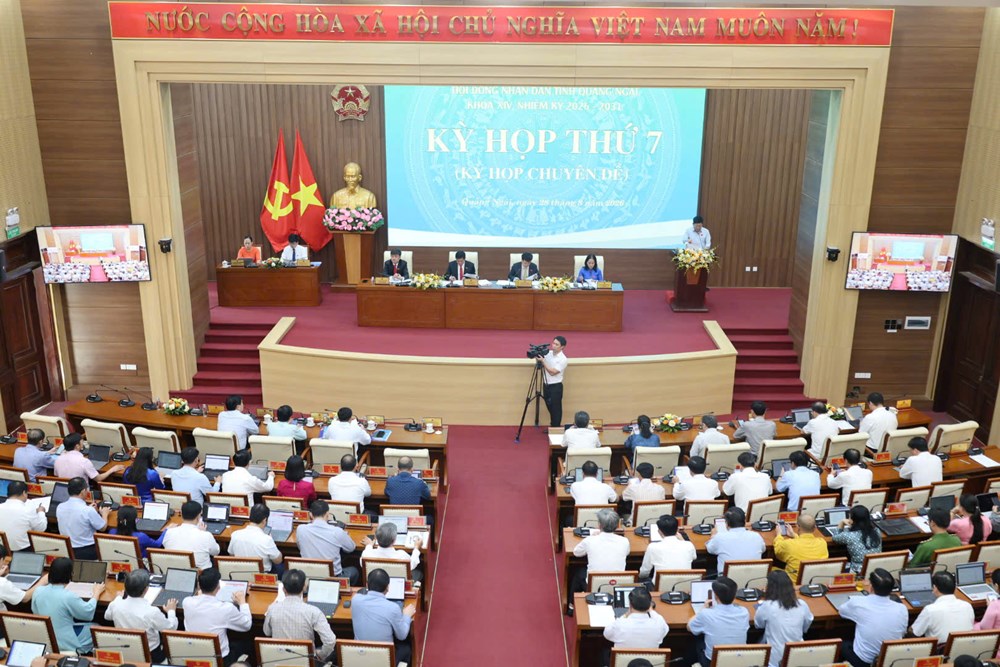 HĐND tỉnh Quảng Ngãi thông qua nguồn lực hơn 304 tỉ đồng phát triển văn hoá - ảnh 4
