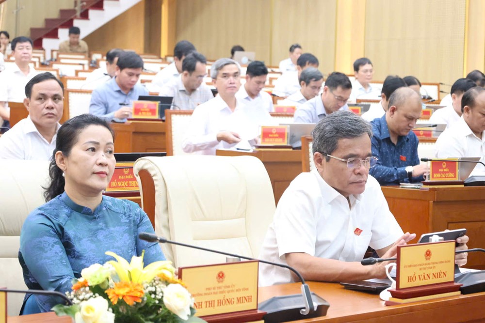 HĐND tỉnh Quảng Ngãi thông qua nguồn lực hơn 304 tỉ đồng phát triển văn hoá - ảnh 1