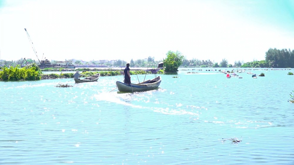 Theo dòng sông Bài Ca, chạm miền xanh giữa rừng ngập mặn - ảnh 6