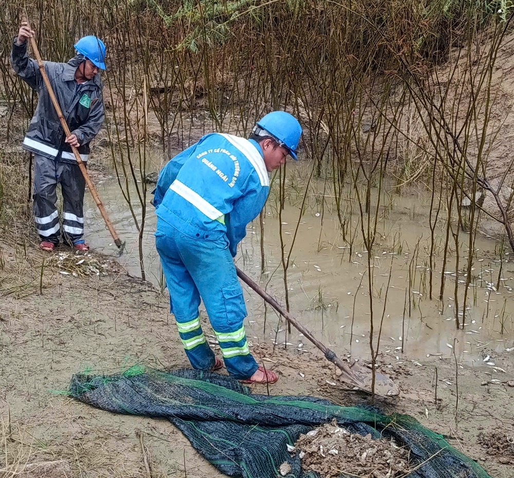 Cá chết trên sông Trà Khúc do thiếu nước cục bộ? - ảnh 1