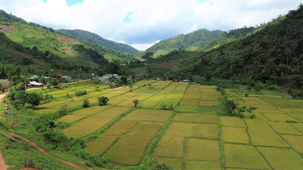 Chạm vào đại ngàn, khám phá văn hóa Ba Na - ảnh 1