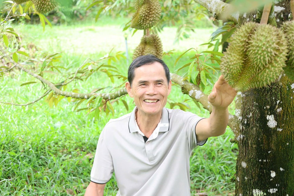 Người dân miền núi mạnh dạn chuyển đổi cây trồng - ảnh 4