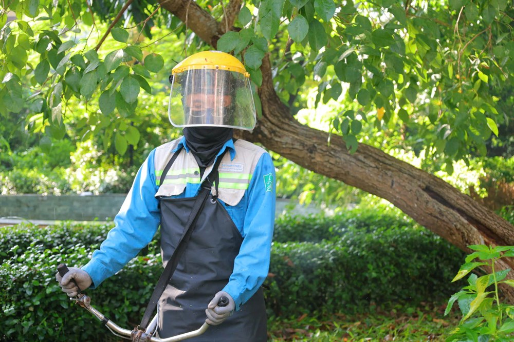 Chung tay xây dựng đô thị Quảng Ngãi xanh, sạch, đẹp - ảnh 4