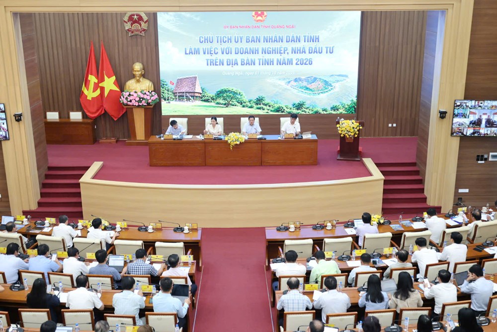 Quảng Ngãi lắng nghe, tháo gỡ điểm nghẽn cho doanh nghiệp - ảnh 7