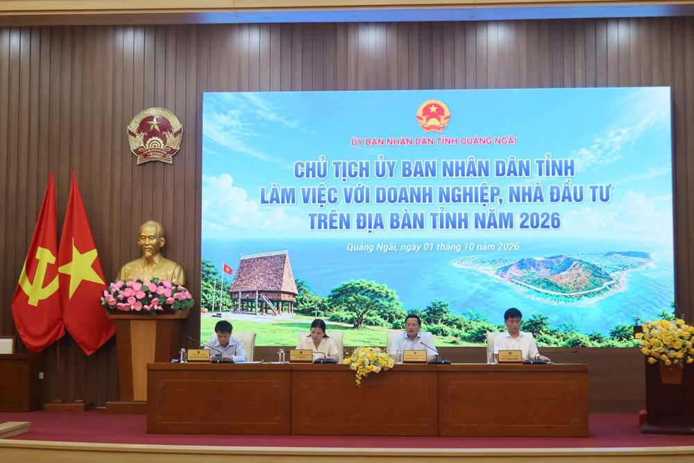 Quảng Ngãi chấn chỉnh kỉ luật dự họp, phê bình 17 địa phương - ảnh 1