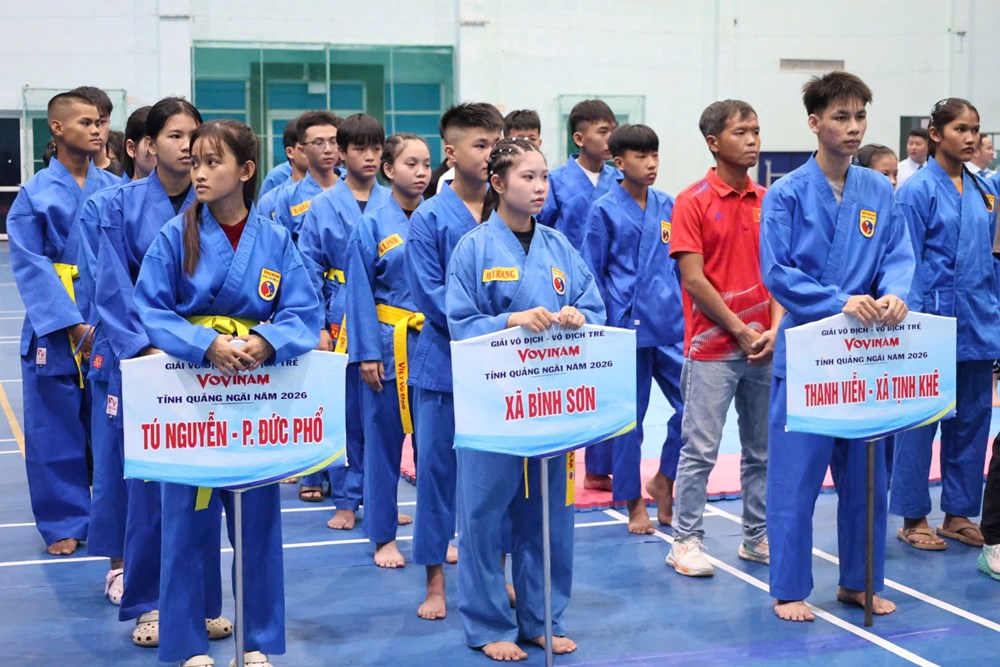 Gần 250 võ sinh tranh tài tại Giải Vô địch Vovinam Quảng Ngãi 2026 - ảnh 3