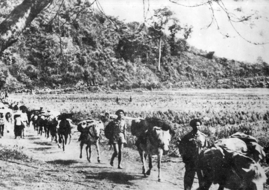 Trưng bày chuyên đề "Điện Biên Phủ - Tinh thần bất diệt" - ảnh 6