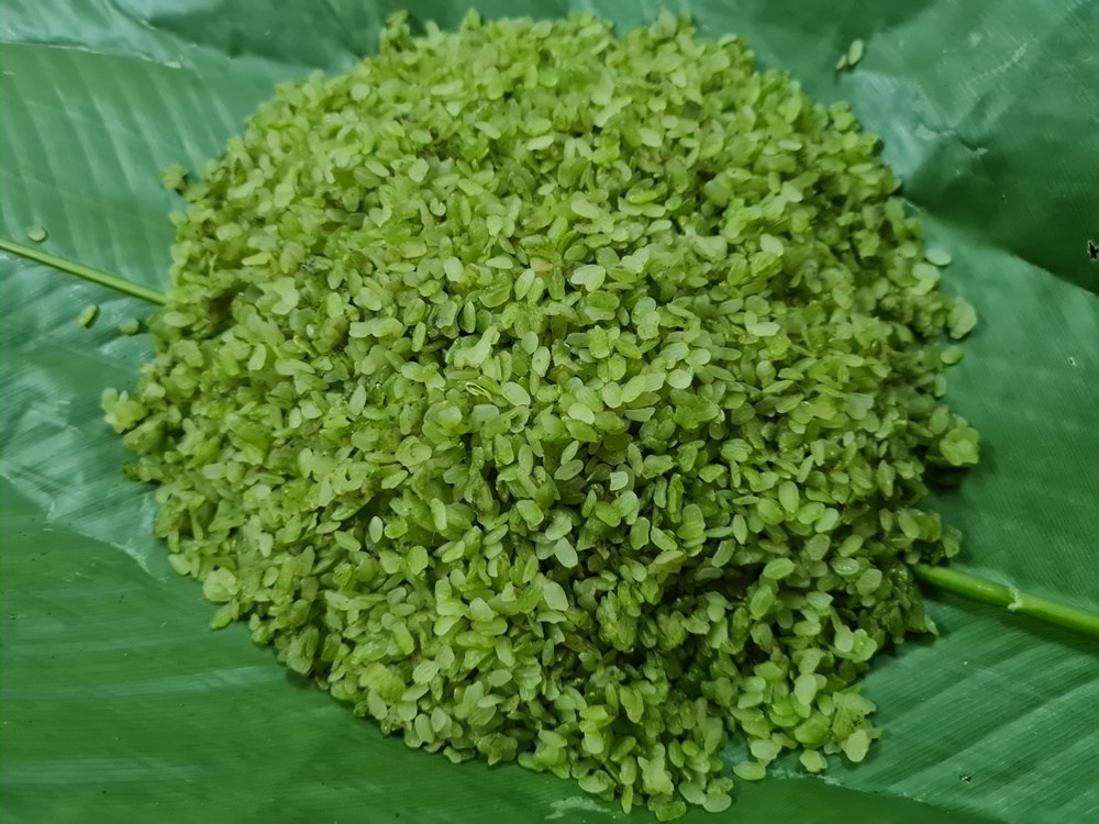 Lễ dâng cốm của người Tày Nghĩa Đô - ảnh 5