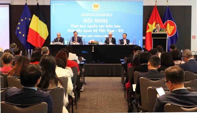 Phát huy nguồn lực cộng đồng người Việt tại châu Âu - ảnh 1